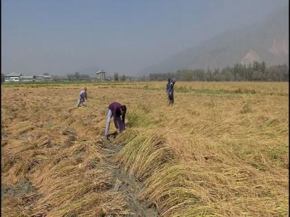 Centres of Excellence proposed in J-K as part of Indo-Israel Agriculture Project | Centres of Excellence proposed in J-K as part of Indo-Israel Agriculture Project