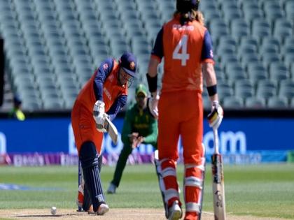 T20 WC: Late flourish from Ackermann propels Netherlands to 158/4 against SA | T20 WC: Late flourish from Ackermann propels Netherlands to 158/4 against SA