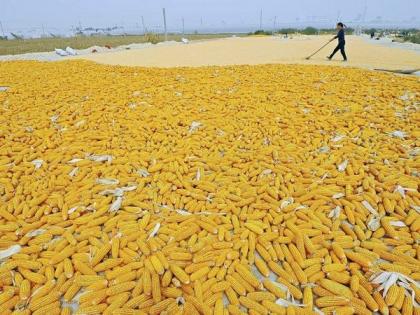 China returns to 'planned economy', restores cooperatives system | China returns to 'planned economy', restores cooperatives system China returns to 'planned economy', restores cooperatives system | China returns to 'planned economy', restores cooperatives system