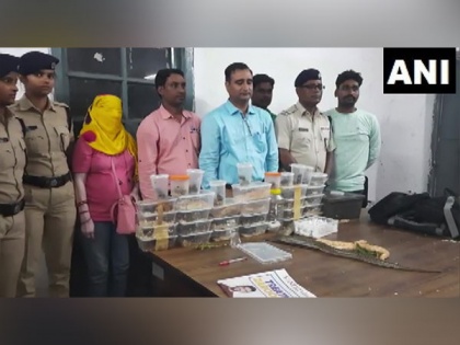 Jharkhand: Woman arrested for smuggling 28 exotic species of Cobra | Jharkhand: Woman arrested for smuggling 28 exotic species of Cobra