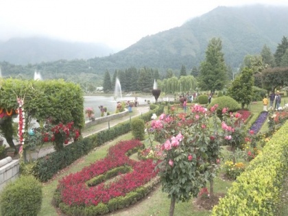 Commercial floriculture emerging as new form of employment across J-K | Commercial floriculture emerging as new form of employment across J-K