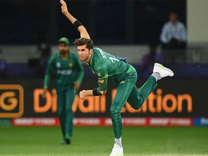 Shaheen now holds the key: Ricky Ponting names key player that can lead Pakistan to T20 World Cup glory | Shaheen now holds the key: Ricky Ponting names key player that can lead Pakistan to T20 World Cup glory