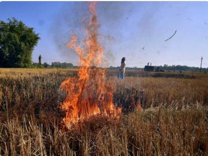 NHRC seeks detailed report from Punjab on stubble burning | NHRC seeks detailed report from Punjab on stubble burning