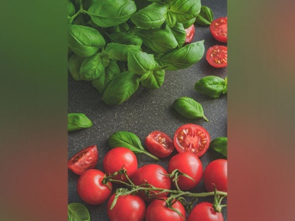 Study: Tomatoes in diet changes human gut microbes | Study: Tomatoes in diet changes human gut microbes