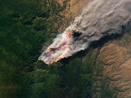 Rise in forest fires is a permanence risk for global carbon markets | Rise in forest fires is a permanence risk for global carbon markets