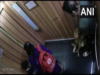 Greater Noida dog bite case: Dog owner fined Rs. 10,000, to pay for victim's treatment | Greater Noida dog bite case: Dog owner fined Rs. 10,000, to pay for victim's treatment