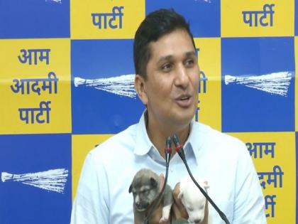 MCD Polls: AAP promises to provide relief from stray cattle, monkey and dog menace | MCD Polls: AAP promises to provide relief from stray cattle, monkey and dog menace MCD Polls: AAP promises to provide relief from stray cattle, monkey and dog menace | MCD Polls: AAP promises to provide relief from stray cattle, monkey and dog menace