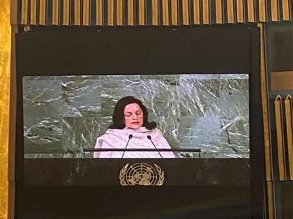 "Security Council reform is stalled": India delivers G4 statement at UN | "Security Council reform is stalled": India delivers G4 statement at UN