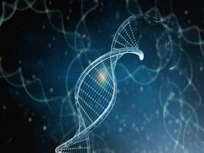 Researchers find genetic links between traits are often overstated | Researchers find genetic links between traits are often overstated