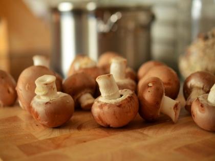 Porcini mushrooms have evolved with a preference for local adaptation: Research | Porcini mushrooms have evolved with a preference for local adaptation: Research