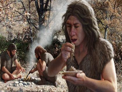 The first usage of fire to cook food happened in Israel: Research | The first usage of fire to cook food happened in Israel: Research