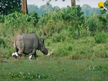 With sustainability in focus, Assam launches new tourism policy | With sustainability in focus, Assam launches new tourism policy