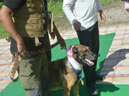 Assam: K9 dog squad hero 'Zorba' with over 60 records passes away | Assam: K9 dog squad hero 'Zorba' with over 60 records passes away