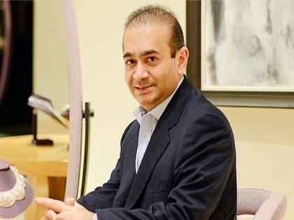 "That is only remedy left...": Legal expert on Nirav Modi's plea to appeal against extradition | "That is only remedy left...": Legal expert on Nirav Modi's plea to appeal against extradition