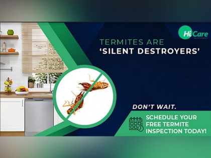 Protect your furniture from Predacious Termites with HiCare's Termite Control | Protect your furniture from Predacious Termites with HiCare's Termite Control