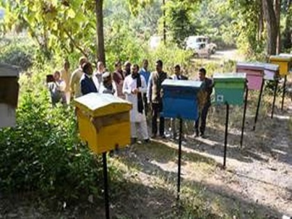KVIC distributes over 330 'bee-boxes' under Re-Hab project to village in Uttarakhand | KVIC distributes over 330 'bee-boxes' under Re-Hab project to village in Uttarakhand