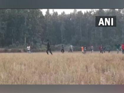Wild elephant chases off people in Assam's Rongjuli | Wild elephant chases off people in Assam's Rongjuli Wild elephant chases off people in Assam's Rongjuli | Wild elephant chases off people in Assam's Rongjuli