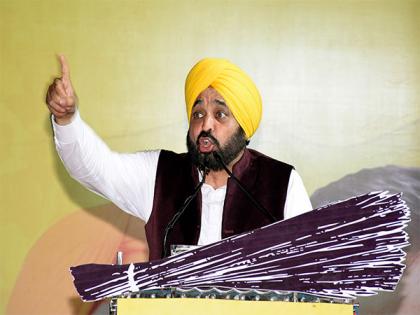 Gujarat results will be surprising, says Bhagwant Mann as AAP crosses halfway mark in Delhi civic body | Gujarat results will be surprising, says Bhagwant Mann as AAP crosses halfway mark in Delhi civic body