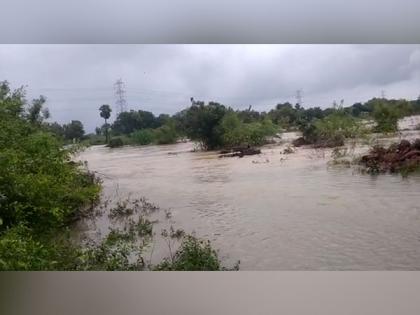 Cyclone Mandous: Traffic disrupted in Andhra's Venkatagiri-Gudur highway in Nellore | Cyclone Mandous: Traffic disrupted in Andhra's Venkatagiri-Gudur highway in Nellore
