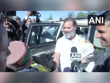 Rahul Gandhi congratulates state Congress Chief on victory in Himachal Pradesh polls | Rahul Gandhi congratulates state Congress Chief on victory in Himachal Pradesh polls Rahul Gandhi congratulates state Congress Chief on victory in Himachal Pradesh polls | Rahul Gandhi congratulates state Congress Chief on victory in Himachal Pradesh polls