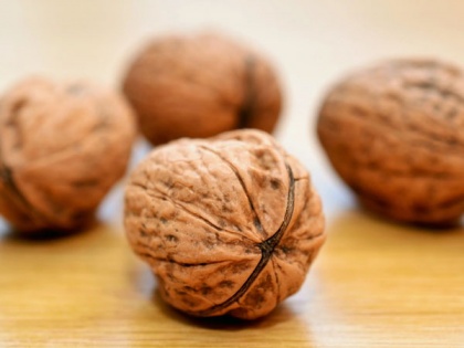 Walnuts are the new brain superfood for stressed students: Research | Walnuts are the new brain superfood for stressed students: Research