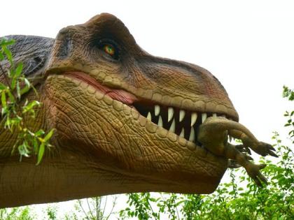 Scientists discover what all did earliest dinosaurs like to eat from their teeth | Scientists discover what all did earliest dinosaurs like to eat from their teeth