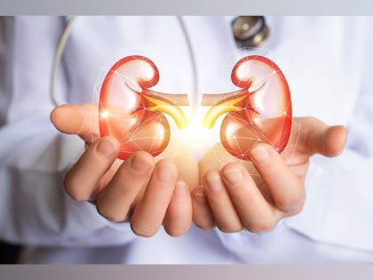 New drug offers potential treatment for common kidney disease | New drug offers potential treatment for common kidney disease
