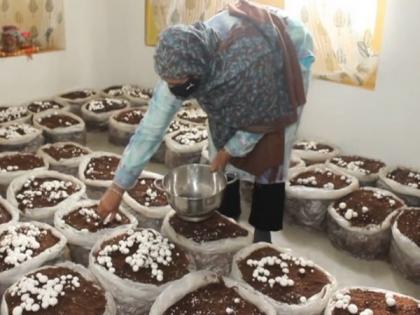 Kashmiri girls take up mushroom cultivation under NRLM scheme in J-K's Kulgam | Kashmiri girls take up mushroom cultivation under NRLM scheme in J-K's Kulgam