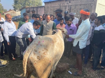 Rs 37 cr given as compensation for owners of cattle dead due to lumpy skin disease: Karnataka Minister | Rs 37 cr given as compensation for owners of cattle dead due to lumpy skin disease: Karnataka Minister