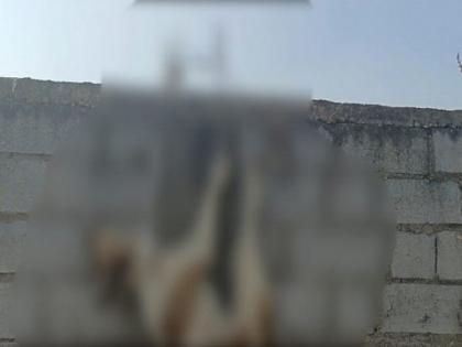 Chhattisgarh: Dog found hanging in Raipur, case registered | Chhattisgarh: Dog found hanging in Raipur, case registered Chhattisgarh: Dog found hanging in Raipur, case registered | Chhattisgarh: Dog found hanging in Raipur, case registered
