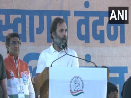 Bharat Jodo Yatra reaches National Capital, Rahul Gandhi attacks BJP, RSS | Bharat Jodo Yatra reaches National Capital, Rahul Gandhi attacks BJP, RSS