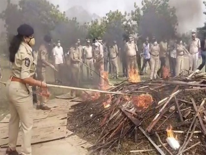 Police seize and burn huge quantities of cannabis in Andhra Pradesh | Police seize and burn huge quantities of cannabis in Andhra Pradesh