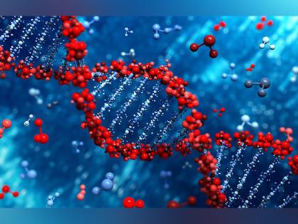 Study reveals insights into the opposing actions of serotonin-producing nerve fibers | Study reveals insights into the opposing actions of serotonin-producing nerve fibers