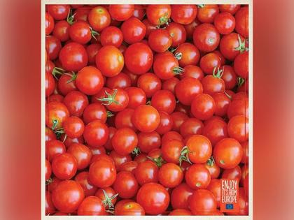 Red for Heath: Enjoy Red Gold Tomatoes from Europe | Red for Heath: Enjoy Red Gold Tomatoes from Europe