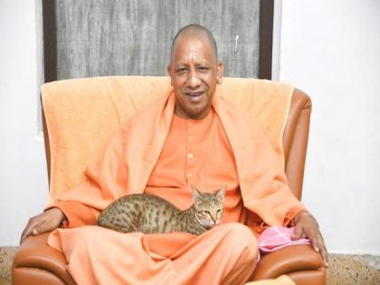 Yogi Adityanath doting on cat goes viral on last day of 2022 | Yogi Adityanath doting on cat goes viral on last day of 2022