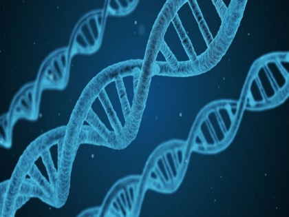 Researchers take closer look at DNA repair scheme for cancer therapy | Researchers take closer look at DNA repair scheme for cancer therapy