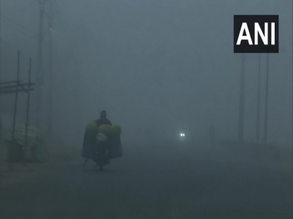Dense fog engulfs north India; Zero visibility in Punjab's Bhatinda | Dense fog engulfs north India; Zero visibility in Punjab's Bhatinda