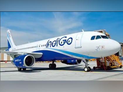 No such altercation took place: IndiGo Airlines clarifies mid-air brawl | No such altercation took place: IndiGo Airlines clarifies mid-air brawl No such altercation took place: IndiGo Airlines clarifies mid-air brawl | No such altercation took place: IndiGo Airlines clarifies mid-air brawl