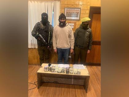 Lashkar terror associate arrested in Srinagar | Lashkar terror associate arrested in Srinagar