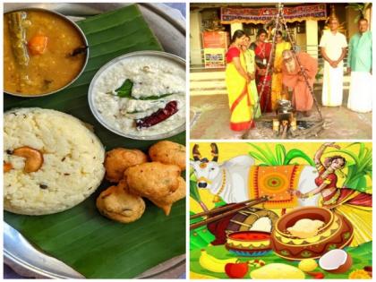 Pongal 2023: Know everything about the 4-days long Harvest festival | Pongal 2023: Know everything about the 4-days long Harvest festival
