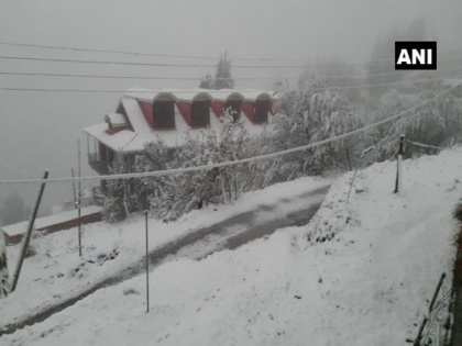 Cold wave sweeps North India, Himachal receives fresh snowfall, Delhi-NCR wakes up to dense fog | Cold wave sweeps North India, Himachal receives fresh snowfall, Delhi-NCR wakes up to dense fog