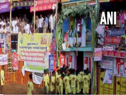 Tamil Nadu: 'Jallikattu' celebrations begin in Madurai's Palamedu | Tamil Nadu: 'Jallikattu' celebrations begin in Madurai's Palamedu