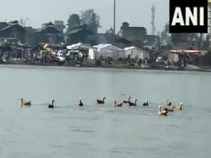 UP: Tourists arrive as migratory Siberian birds flock to Brijghat in Hapur | UP: Tourists arrive as migratory Siberian birds flock to Brijghat in Hapur