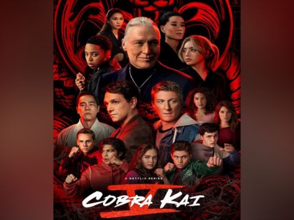 Josh Heald's 'Cobra Kai' heading up for renewal and final season | Josh Heald's 'Cobra Kai' heading up for renewal and final season