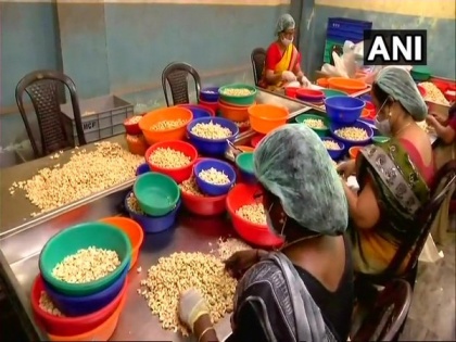 Indian cashew processors cashing in on demand, revenue to rise 15 pc: Report | Indian cashew processors cashing in on demand, revenue to rise 15 pc: Report