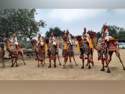 Republic Day 2023 to witness debut march of women riders on BSF Camel Contingent | Republic Day 2023 to witness debut march of women riders on BSF Camel Contingent