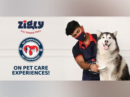 Zigly's brand campaign encourages 'No Compromise' on pet care | Zigly's brand campaign encourages 'No Compromise' on pet care