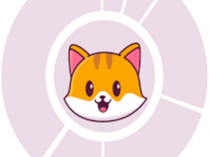 Catecoin can outpace Dogecoin and Shibainu with 100x profit | Catecoin can outpace Dogecoin and Shibainu with 100x profit