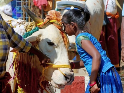 "We all should love and hug cow": Union Minister Giriraj Singh backs celebrating 'Cow Hug Day' on Feb 14 | "We all should love and hug cow": Union Minister Giriraj Singh backs celebrating 'Cow Hug Day' on Feb 14