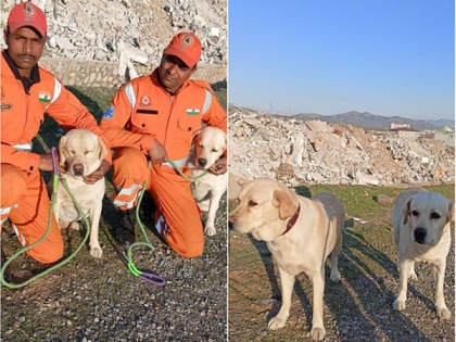 Meet NDRF's Romeo and Julie who saved 6-year-old in quake-hit Turkey | Meet NDRF's Romeo and Julie who saved 6-year-old in quake-hit Turkey
